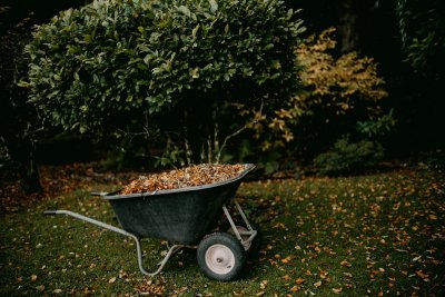 Ruim je tuin deze herfst niet helemaal op